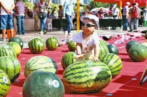 每日大赛吃瓜网入口,揭秘娱乐圈幕后风云，带你畅游八卦海洋